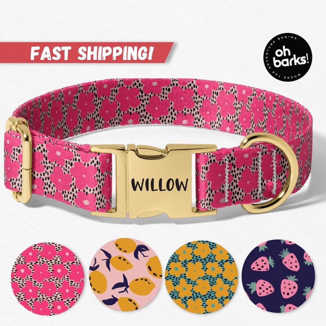 Poodle Collar - Etsy
