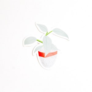Philodendron Silver Sword Sticker