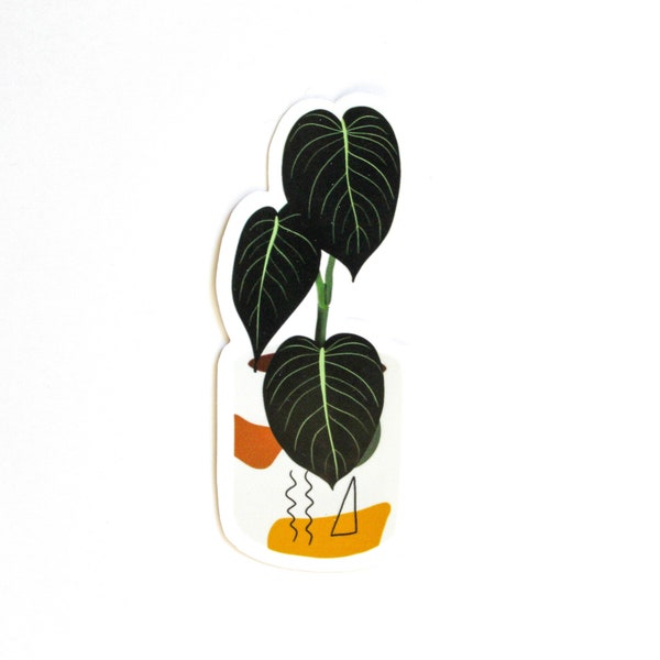 Philodendron Melanochrysum Sticker