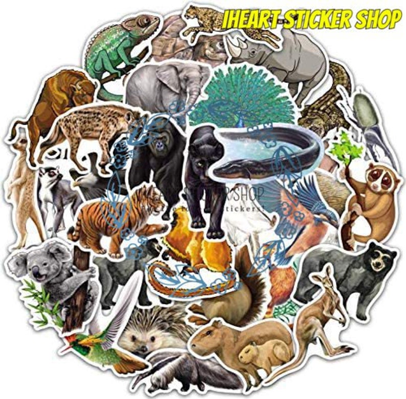 WILDLIFE Sticker Packs Animal Stickers Vinyl Stickers Etsy
