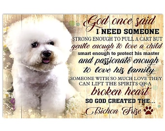 Poster A3 picture BICHON FRISE gift