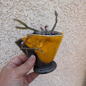 Handmade Ceramic Planter with Live Succulent - Rhipsalis pilocarpa - Art Cup with Modeling Paste - Unique Living Decor