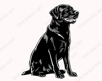 Labrador svg, black dog svg ,clipart Download,Labrador Retriever sit body, gift for dog lover, file for Cricut and Silhouette Print