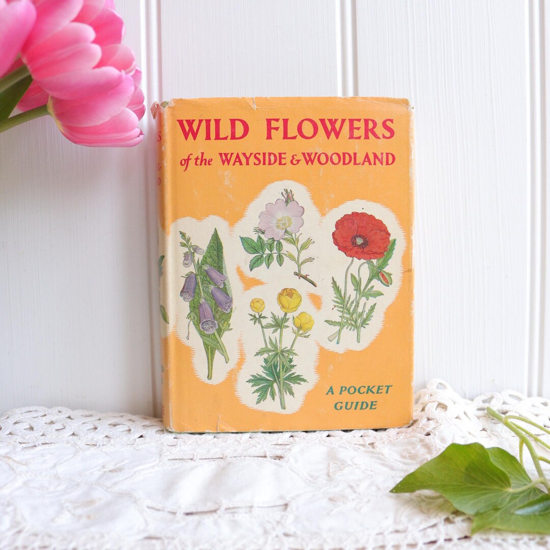 Vintage Wild Flowers of Wayside and Woodland Book. Colour Illustrations ...
