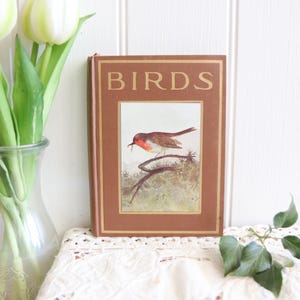 May include: A hardcover book with a brown cover featuring the word BIRDS in gold lettering at the top and a central rectangular illustration of a small bird with a red breast perched on a branch, holding a worm in its beak against a light background.