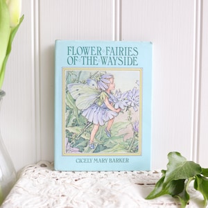 Könnte beinhalten: Ein hellblaues Hardcover-Buch mit dem Titel Flower Fairies of the Wayside von Cicely Mary Barker. Das Cover zeigt eine zentrale Illustration einer Fee mit hellvioletten Flügeln und passendem Kleid, umgeben von grünem Laub und violetten Blumen.