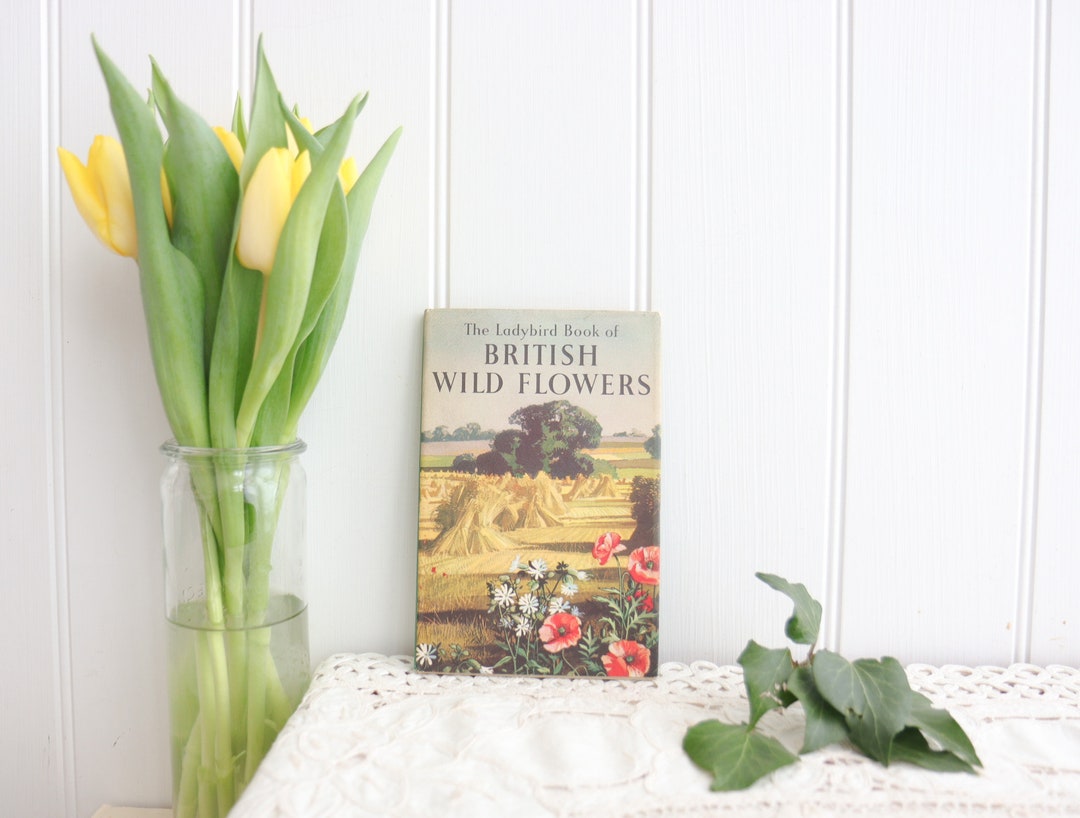 British Wild Flowers by Ladybird Books - Etsy