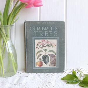 May include: A vintage book titled "Our British Trees" with a faded green cover. The cover features an illustration of a tree branch with pink flowers, a leaf, and an apple. The book is placed on a white lace surface.