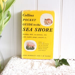 Vintage Collins Pocket Guide To The Seashore - Colour Illustrated Marine Life Identifier - England 1967