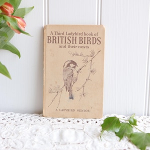 Vintage Ladybird British Birds Book: 1960s Nature Illustrations