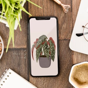 K&ouml;nnte beinhalten: Ein Smartphone zeigt eine botanische Illustration einer Topfpflanze mit gr&uuml;nen Bl&auml;ttern und wei&szlig;en Punkten sowie roten Akzenten. Das Telefon liegt auf einem Holzschreibtisch mit B&uuml;romaterial, einem Laptop und einer Kaffeetasse.