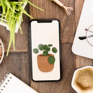 Könnte beinhalten: Ein Smartphone zeigt eine digitale Illustration einer Topfpflanze mit runden grünen Blättern. Das Telefon liegt auf einem Holztisch mit einem Laptop, einer Brille und einer Kaffeetasse. Weitere Artikel sind ein Stift und Schreibwaren.