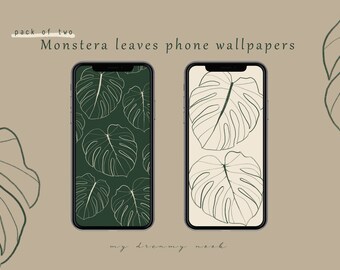 HD monstera wallpapers  Peakpx