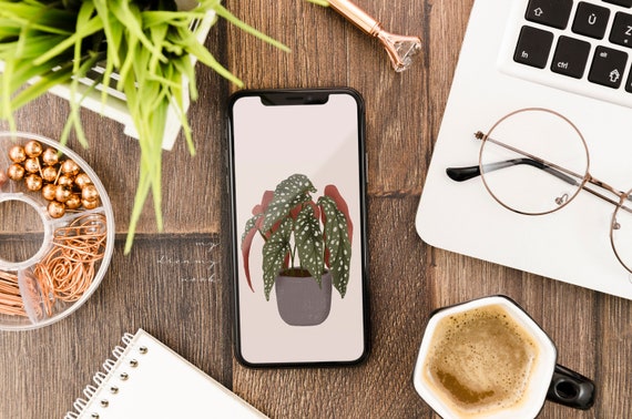 Plant aesthetic Boho iPhone wallpaper | Begonia maculata lock screen | Android phone boho home screen | iPhone green background plant lover