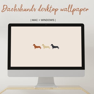 Bassotto sfondo del desktop / Cuccioli sfondo del desktop / Sfondo minimalista del computer portatile / Simpatico cane amante del PC sfondo / MAC desktop