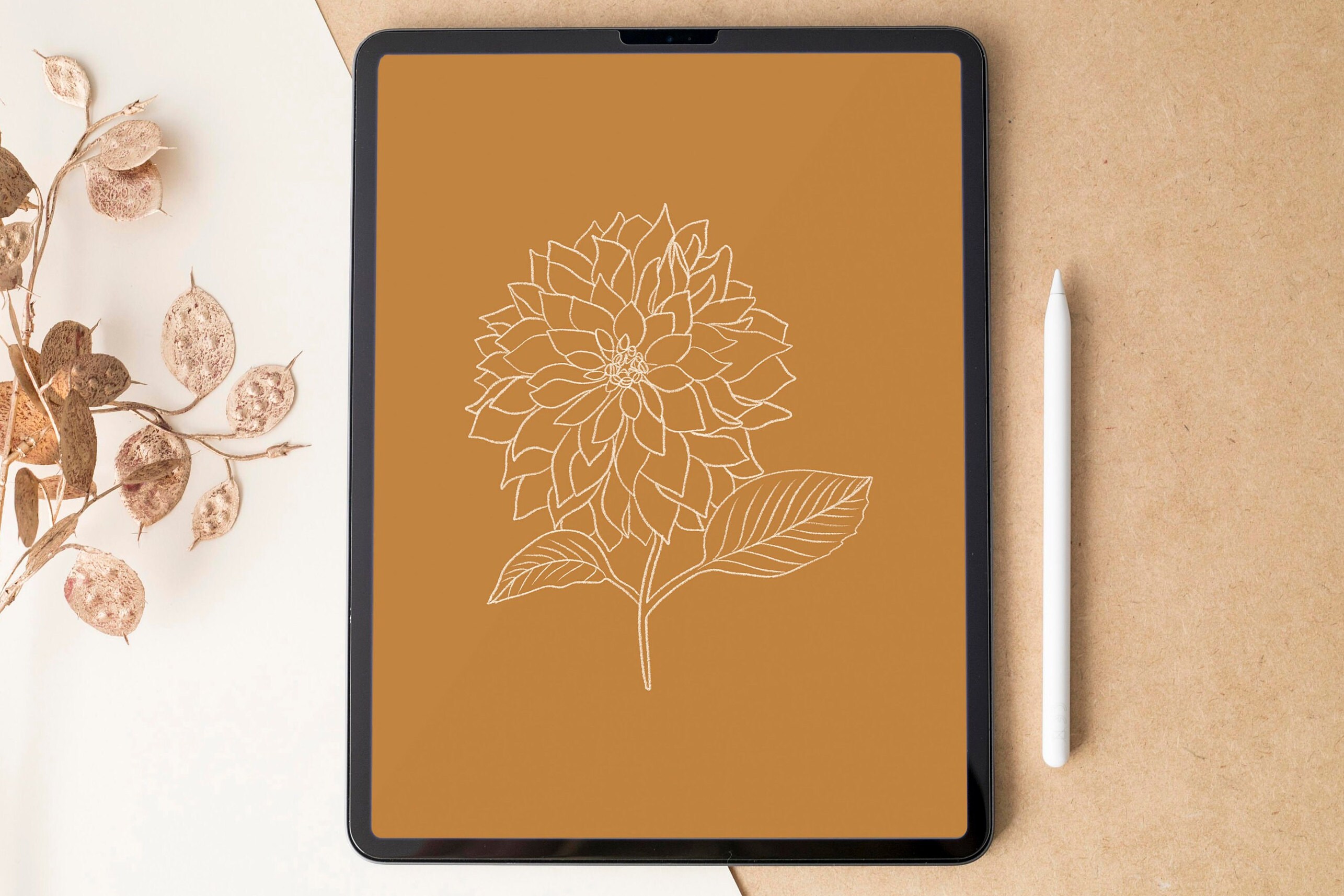 Boho Ipad Wallpaper Minimal Tablet Background Simple Etsy Israel