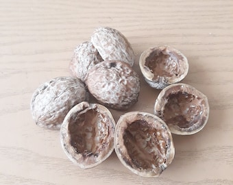 Walnut Shell Halves for Craft Projects, Walnut Shells, Craft Projects,Natural craft material