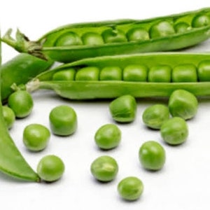 Sementes de ervilha orgânicas frescas, ervilhas doces, não transgênicas, sementes de ervilha verde - mais de 20 sementes