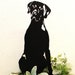 see more listings in the Dogs - Black section