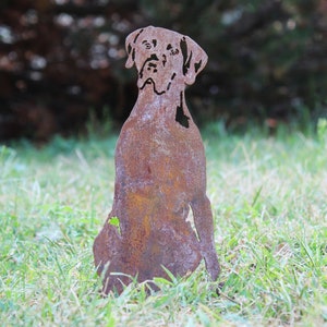 May include: A rusty brown metal dog silhouette, sitting upright in a grassy yard. The dog's features are cut out, creating a unique, artistic garden decoration. The metal has a weathered appearance.