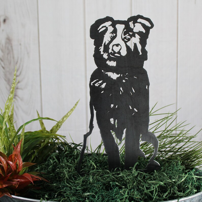 Australian Shepherd Metal Dog Silhouette Rust Art Garden Etsy