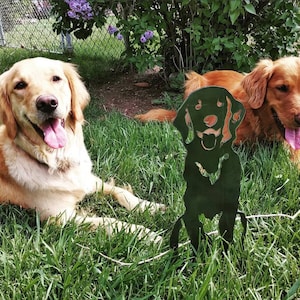 K&ouml;nnte beinhalten: Zwei Golden Retriever liegen im Gras. Ein Hund schaut mit herausgestreckter Zunge in die Kamera. Der andere Hund schaut auf eine Metallsilhouette eines Hundes. Die Silhouette ist schwarz und steht im Gras.