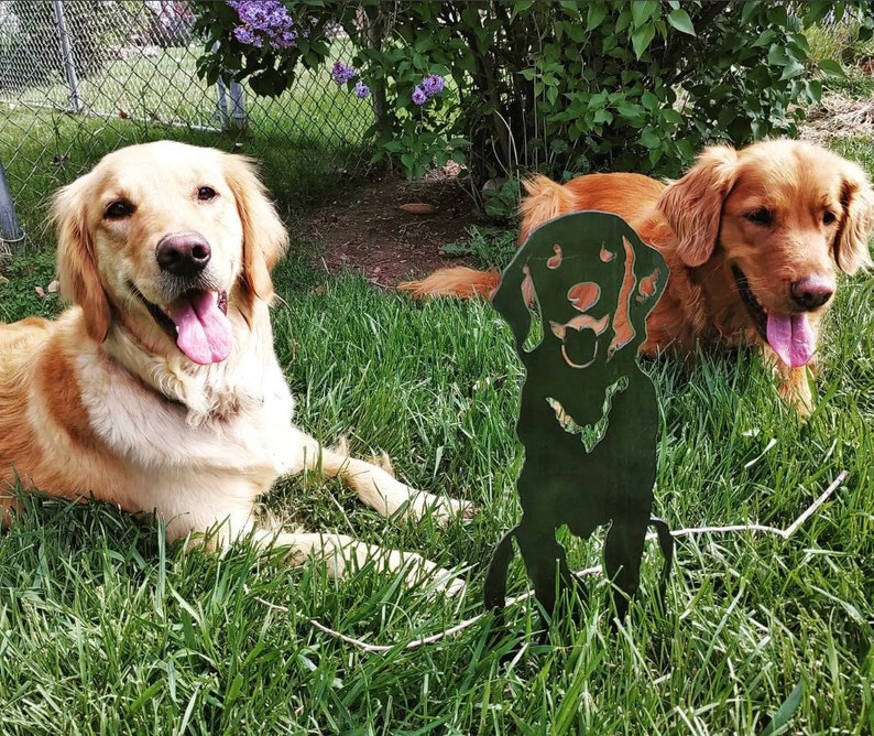 K&ouml;nnte beinhalten: Zwei Golden Retriever liegen im Gras. Ein Hund schaut mit herausgestreckter Zunge in die Kamera. Der andere Hund schaut auf eine Metallsilhouette eines Hundes. Die Silhouette ist schwarz und steht im Gras.