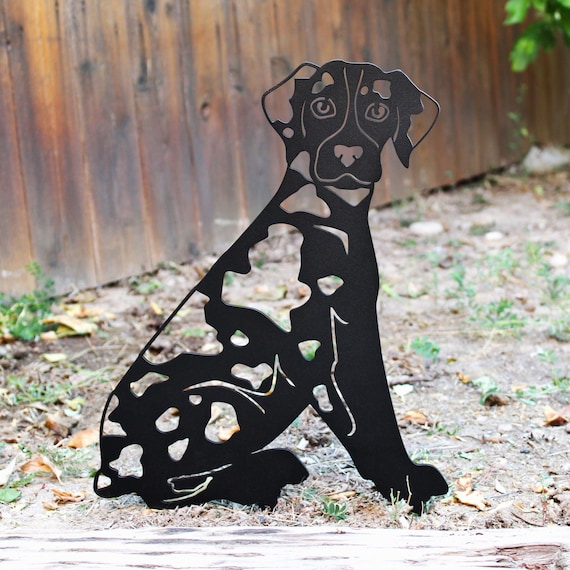 Catahoula leopard hotsell dog black