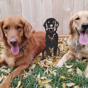 K&ouml;nnte beinhalten: Zwei Golden Retriever sitzen in einem grasbewachsenen Bereich mit heruntergefallenen Bl&auml;ttern. In der Mitte des Bildes befindet sich eine schwarze Metallsilhouette eines Hundes.