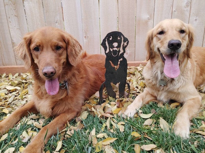 K&ouml;nnte beinhalten: Zwei Golden Retriever sitzen in einem grasbewachsenen Bereich mit heruntergefallenen Bl&auml;ttern. In der Mitte des Bildes befindet sich eine schwarze Metallsilhouette eines Hundes.