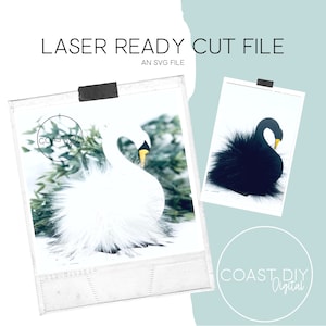 May include: Laser ready cut file showing a white swan with a yellow beak and a black swan with a yellow beak. The image includes the text "LASER READY CUT FILE" and "AN SVG FILE". The Coast DIY Digital logo is also visible.