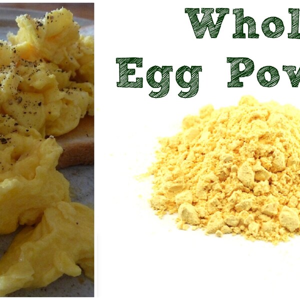 Freeze Dried Eggs Etsy