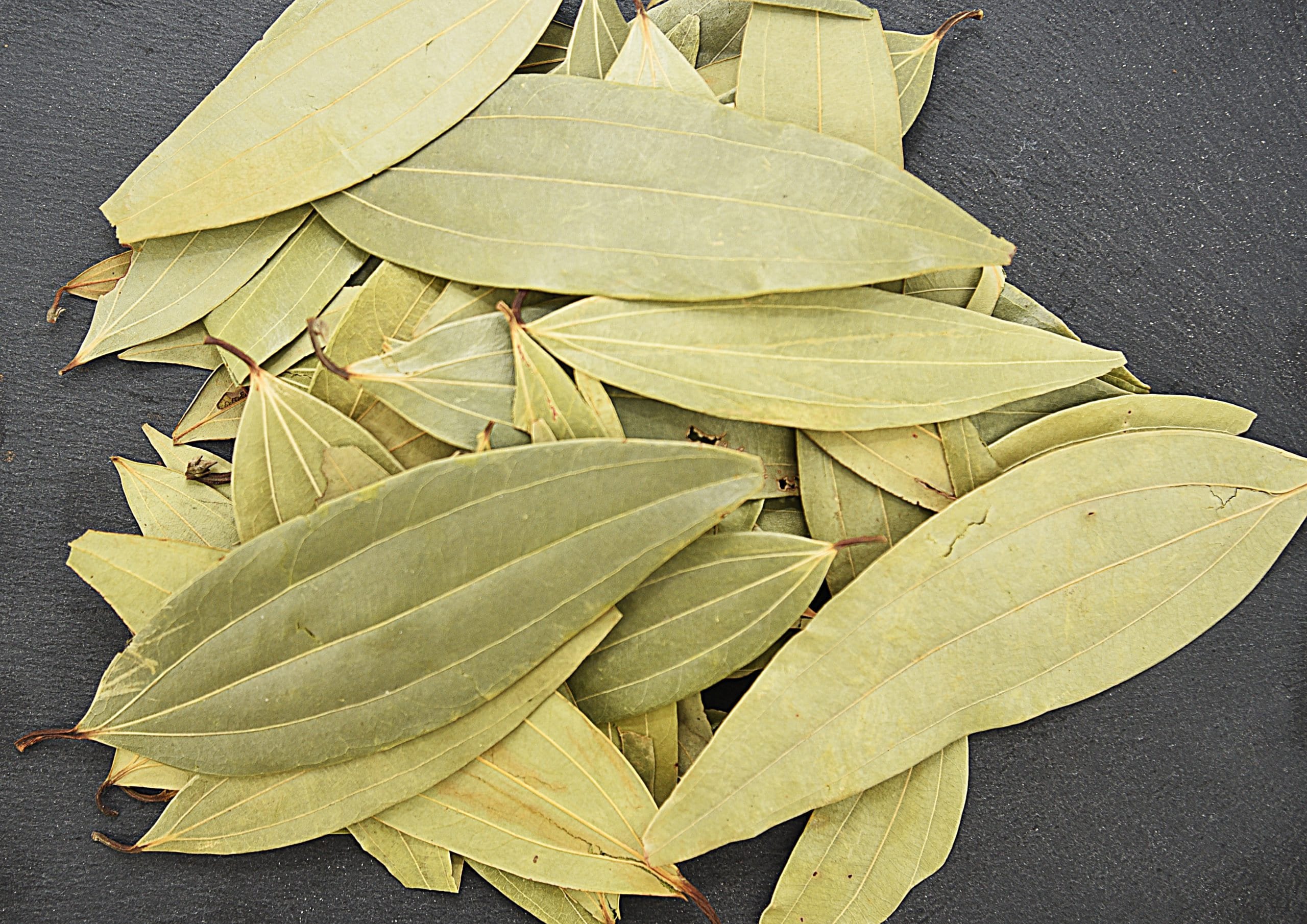 Pure Organic Indian Bay Leaves With Proper 3 Veins Tejpat Etsy