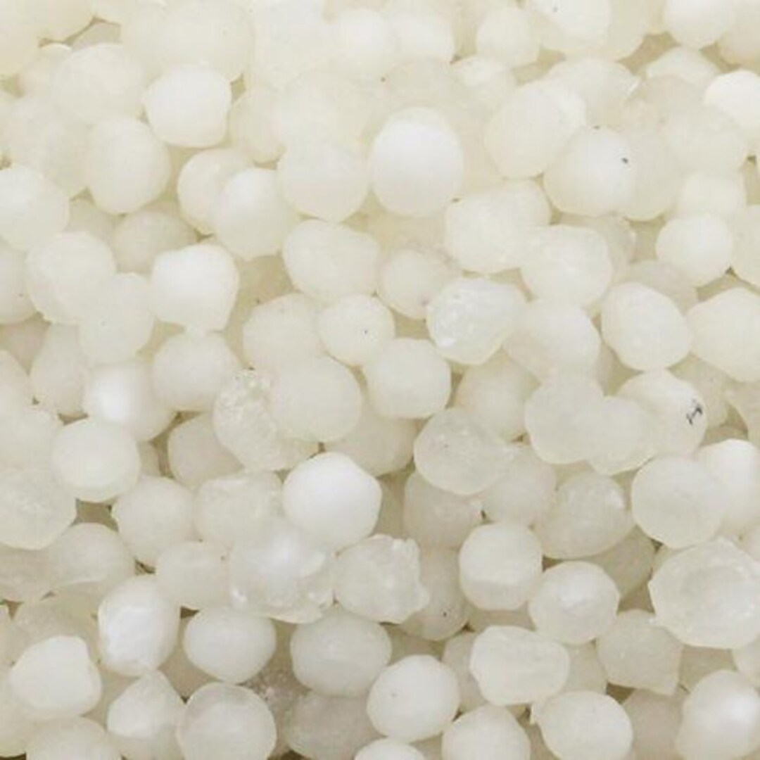 20kg Organic Nylon Big Sabudana, Nylon Sago Seeds, Tapioca Nylon
