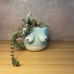 Ceramic Boobie Pots 9.5 H X 8.5W , planters, boob pot, boob planter, handmade, Wheel Thrown