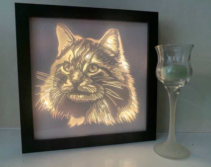 Persian Cat Face, Black Lightbox lighted shadow box, light lamp, home wall decor, great for cat lovers!