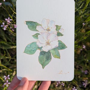 Cartão postal original em aquarela com maçã florescente, arte floral para presente