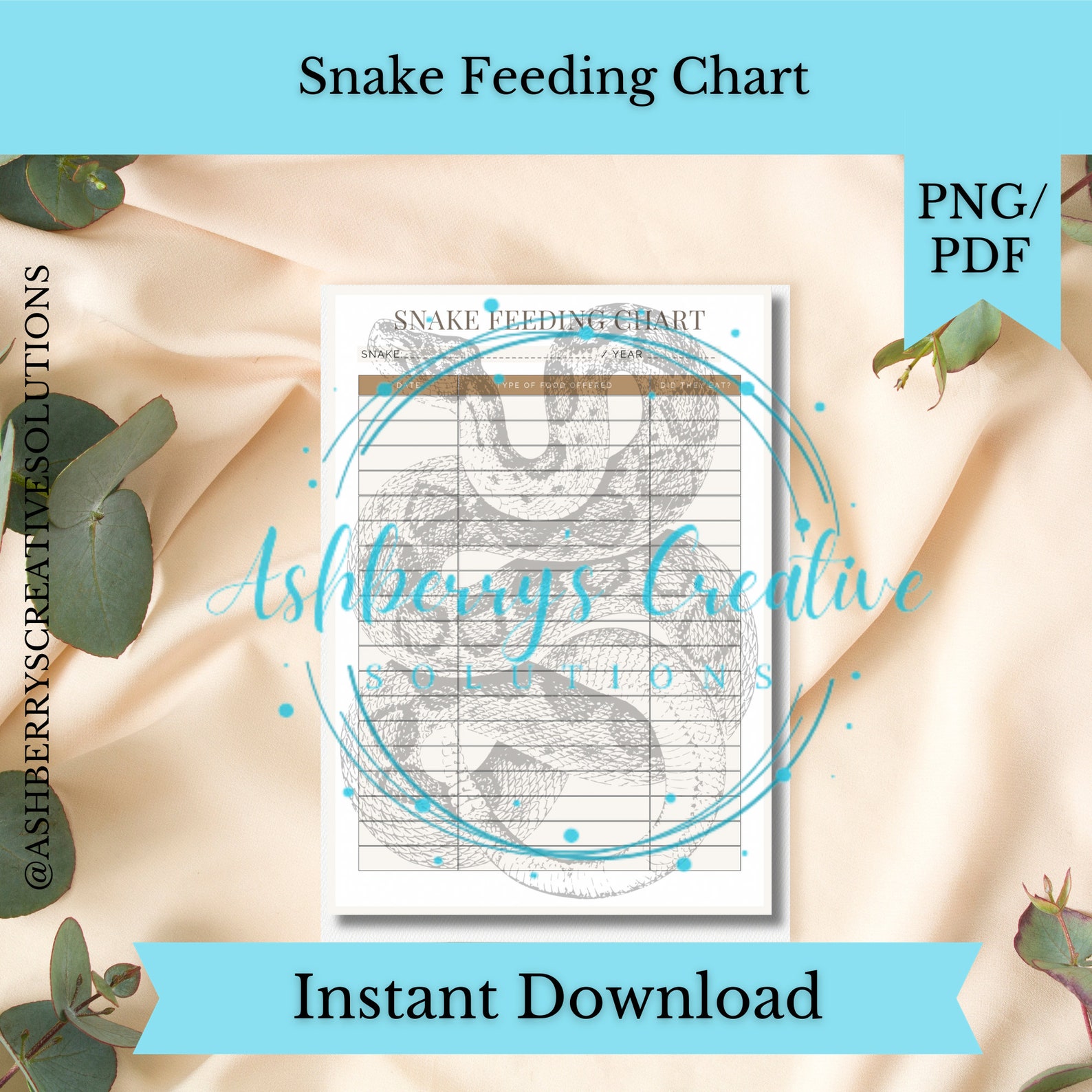 Picture of Ball Python Feeding Chart (Guide & Schedule) | Terrarium Quest