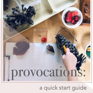 Provocations Planner