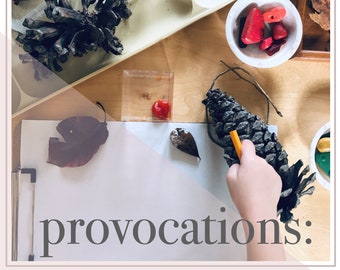 Planificateur de provocations