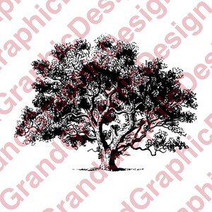 Beautiful Tree  PNG and SVG