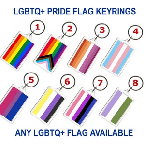 LGBTQ+ Pride Flag Themed Keyrings / LGBT Keyrings / LGBTQIA+ Pride Flag key ring / Rainbow Flag / Progress Flag - Any Pride Flag available