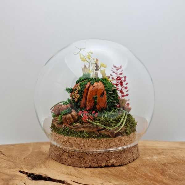 Pumpkin'fungi - diorama sous cloche - champignons