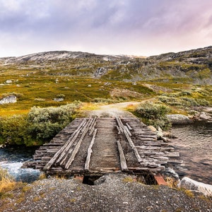 Norway Breheimen National Park I Photography Photo Print Poster Picture Mural Nature Landscape Digital Download image 4