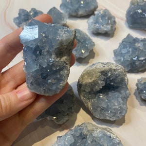 Op de afbeelding: Een verzameling lichtblauwe celestietkristalclusters. E&eacute;n cluster wordt in een hand gehouden, waarbij de kristalstructuur wordt getoond. De kristallen vari&euml;ren in grootte en vorm, met een zachte, lichtblauwe tint en een ruwe, getextureerde uitstraling.