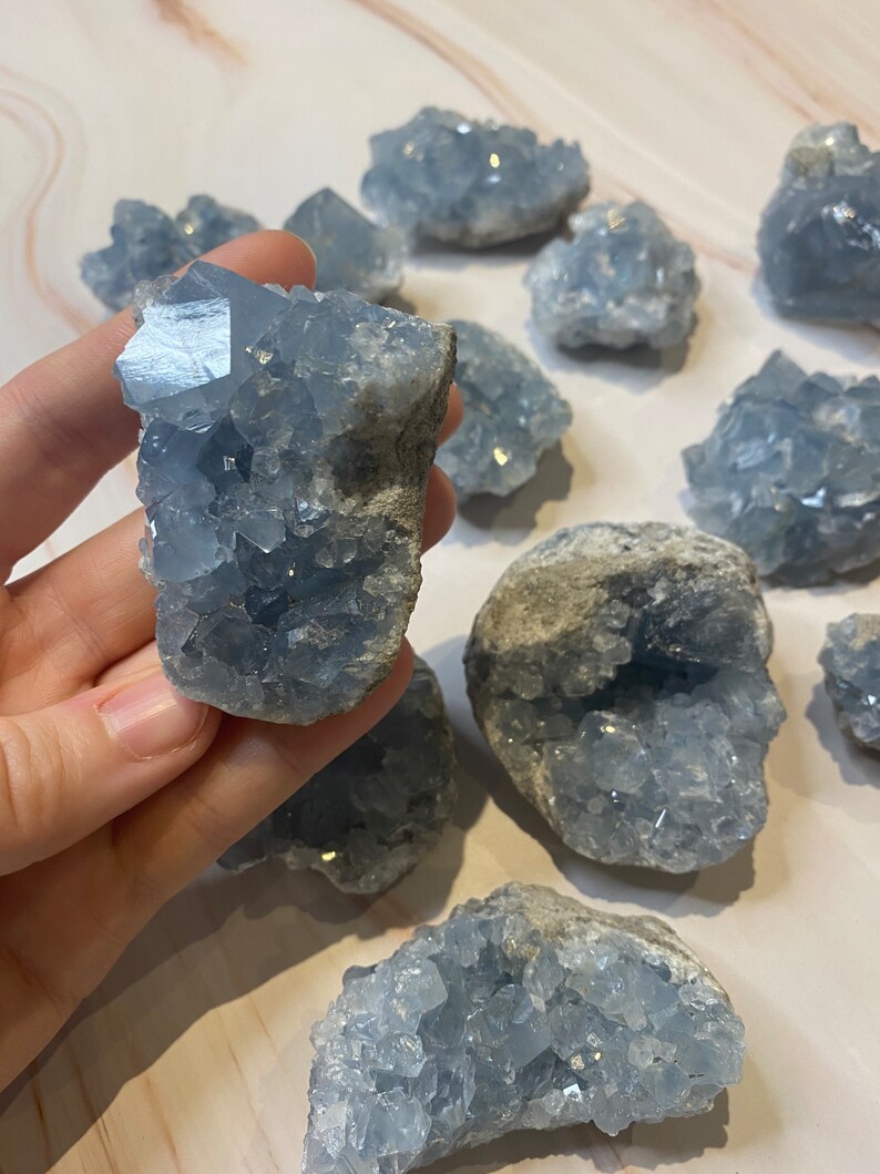 Op de afbeelding: Een verzameling lichtblauwe celestietkristalclusters. E&eacute;n cluster wordt in een hand gehouden, waarbij de kristalstructuur wordt getoond. De kristallen vari&euml;ren in grootte en vorm, met een zachte, lichtblauwe tint en een ruwe, getextureerde uitstraling.