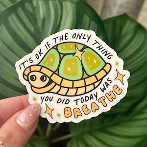 Es ist in Ordnung, wenn… Schildkröte wasserdichter Aufkleber, Aufkleber für psychische Gesundheit, Handgezeichnete Kunst, Bestfriend Geschenke, Positivität, Angst, ADHS, Neurodiversent