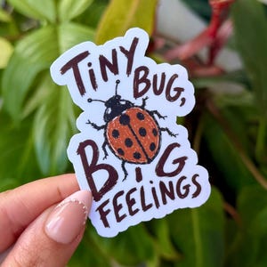 以下が含まれることがあります： 茶色の文字で「Tiny Bug, Big Feelings」と書かれた白いステッカー。赤い体と黒い水玉模様の漫画のてんとう虫が描かれています。背景はぼやけた緑の葉です。