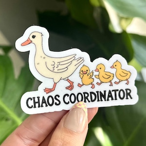 May include: White duck with four yellow ducklings walking in a line. The sticker says "Chaos Coordinator".