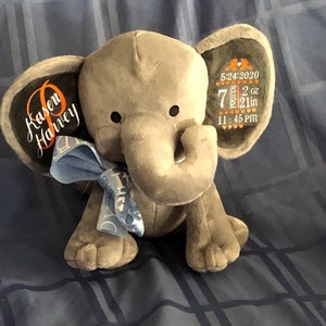 Elephant Birth Stat